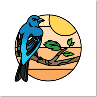 Indigo Bunting Posters and Art